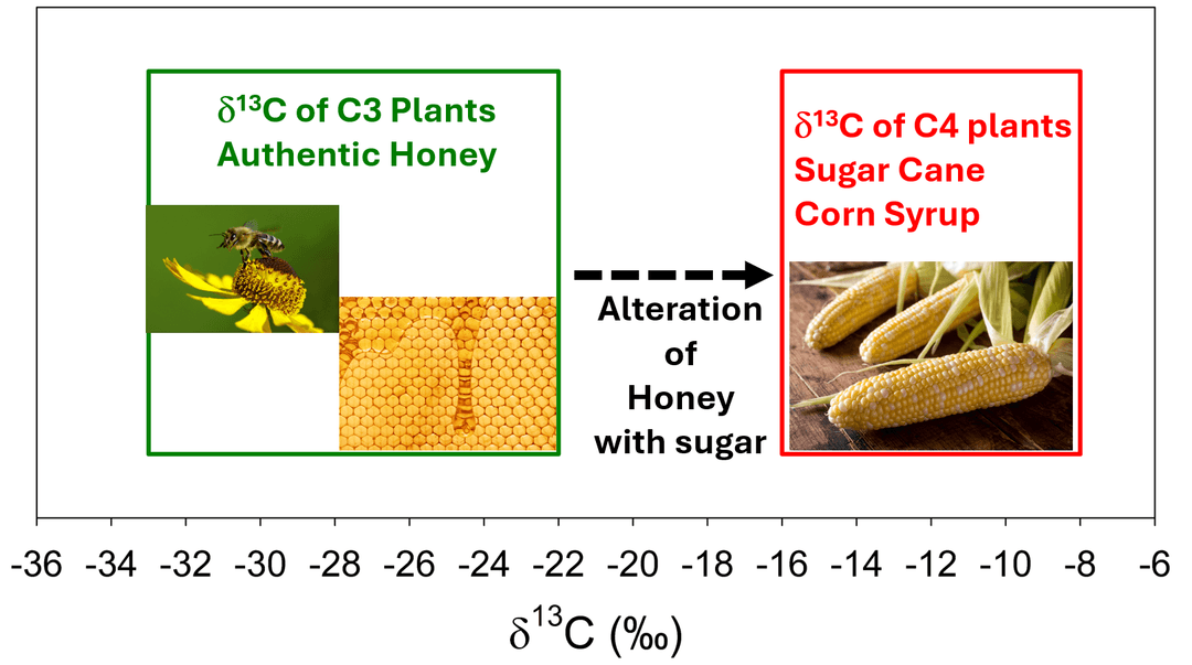 graph showing isotopic composition of honey