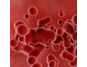 microscopic picture of blood